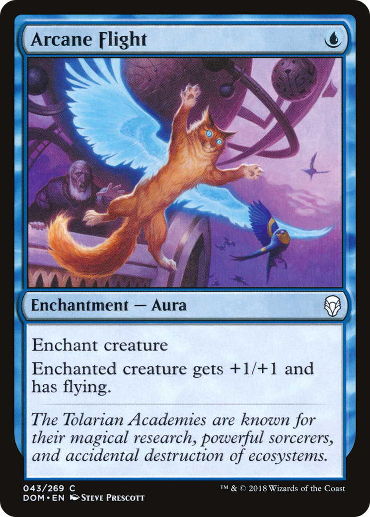 Arcane Flight (043) Foil - Dominaria