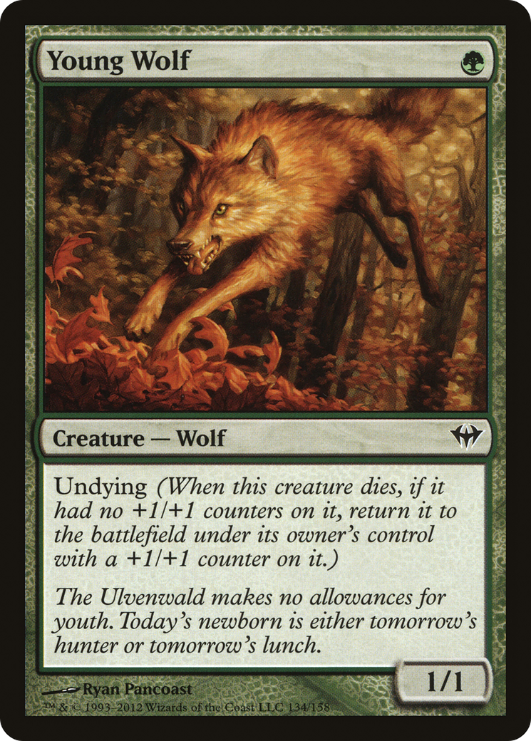 Young Wolf (134) Foil - Dark Ascension