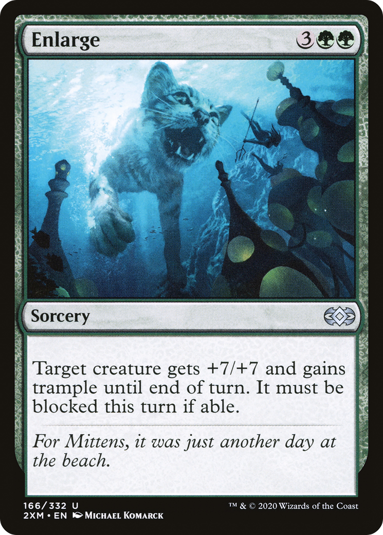 Enlarge (166) Foil - Double Masters