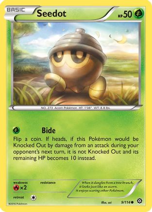 Seedot (9) Reverse Holofoil - XY Steam Siege