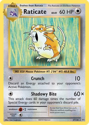 Raticate (67) Reverse Holofoil - XY Evolutions