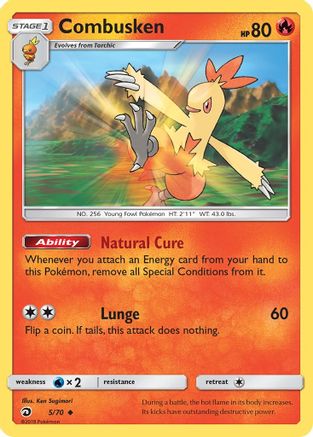 Combusken (5) Reverse Holofoil - Dragon Majesty