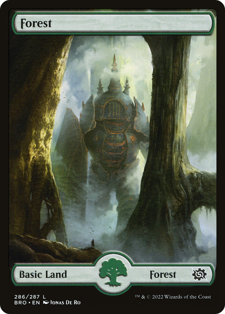 Forest – Full Art (286) Foil - The Brothers' War