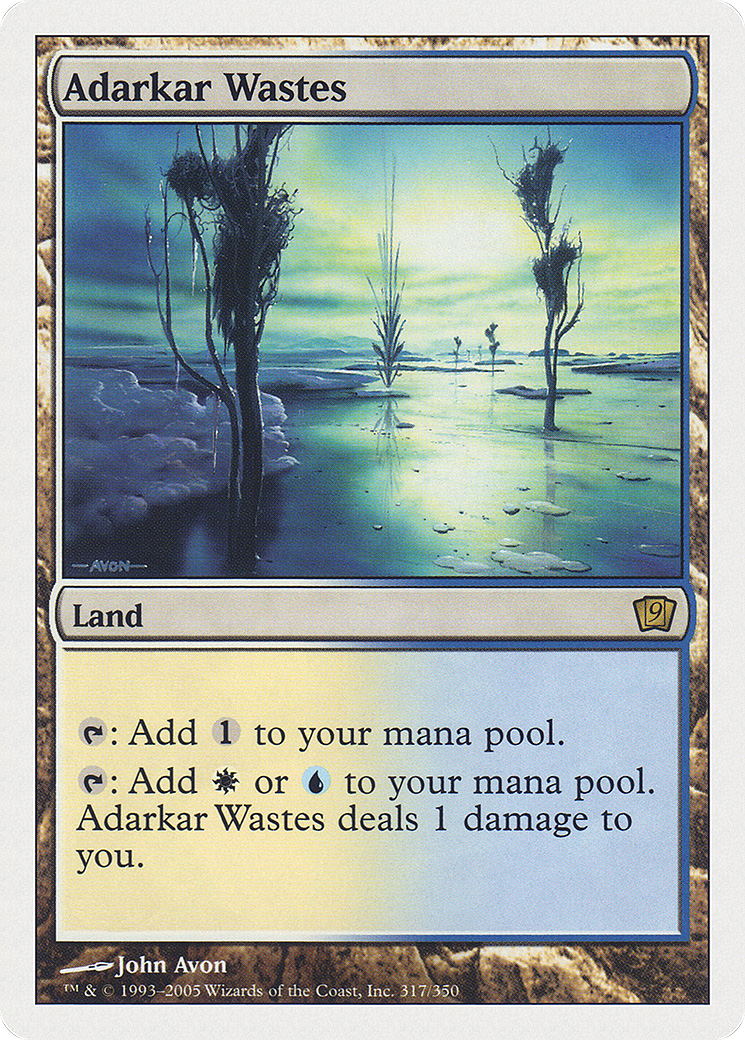 Adarkar Wastes (317) Foil - Ninth Edition
