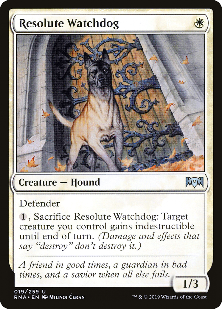 Resolute Watchdog (019) - Ravnica Allegiance