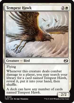 Tempest Hawk (031) Foil - Tarkir: Dragonstorm