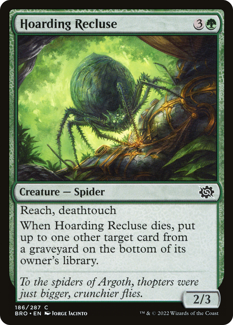 Hoarding Recluse (186) Foil - The Brothers' War