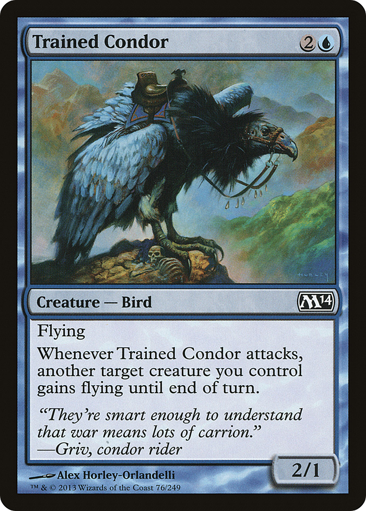 Trained Condor (076) - Magic 2014
