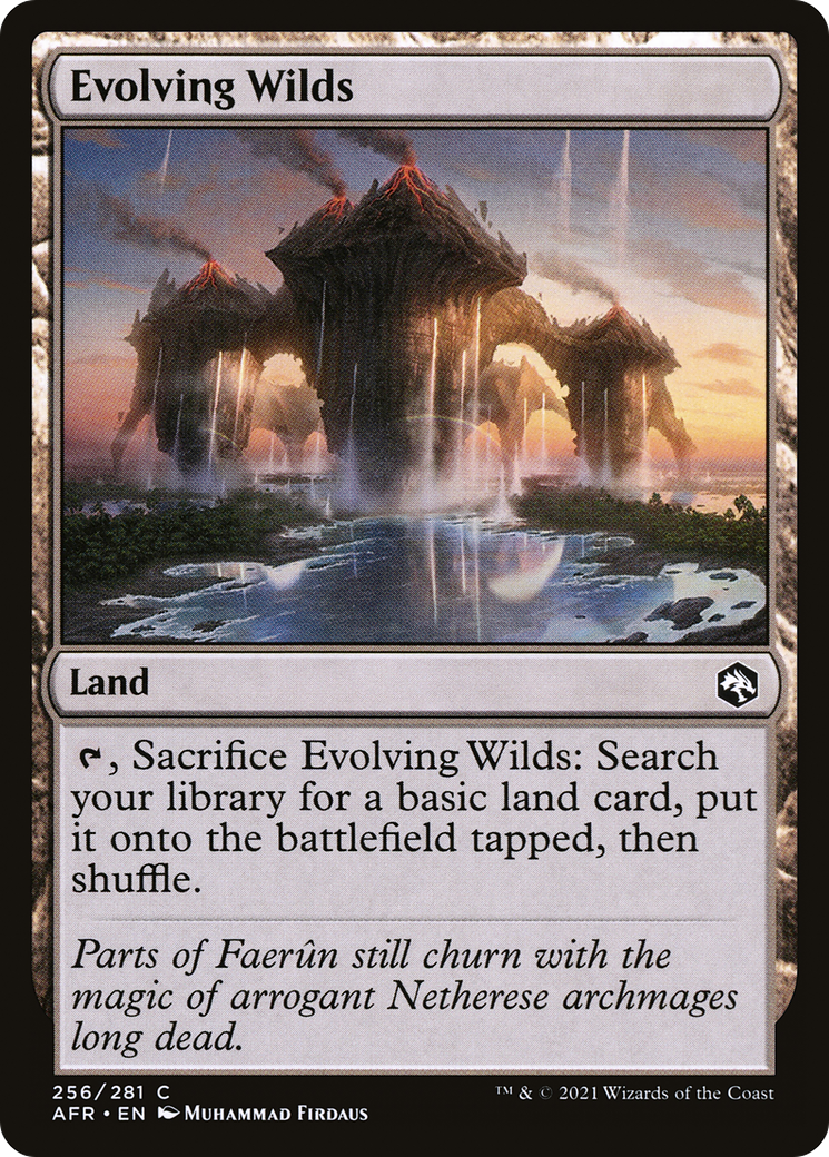 Evolving Wilds (256) Foil - Adventures in the Forgotten Realms