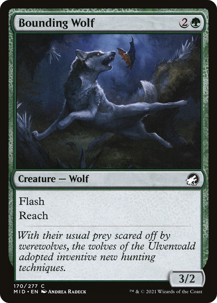 Bounding Wolf (170) - Innistrad: Midnight Hunt