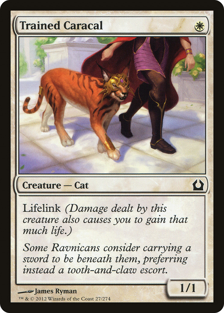 Trained Caracal (027) Foil - Return to Ravnica
