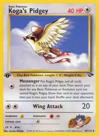 Koga's Pidgey (49) (1st Edition) - Gym Challenge