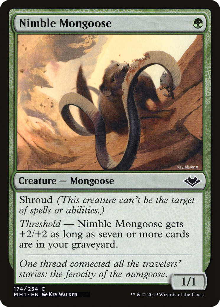 Nimble Mongoose (174) Foil - Modern Horizons