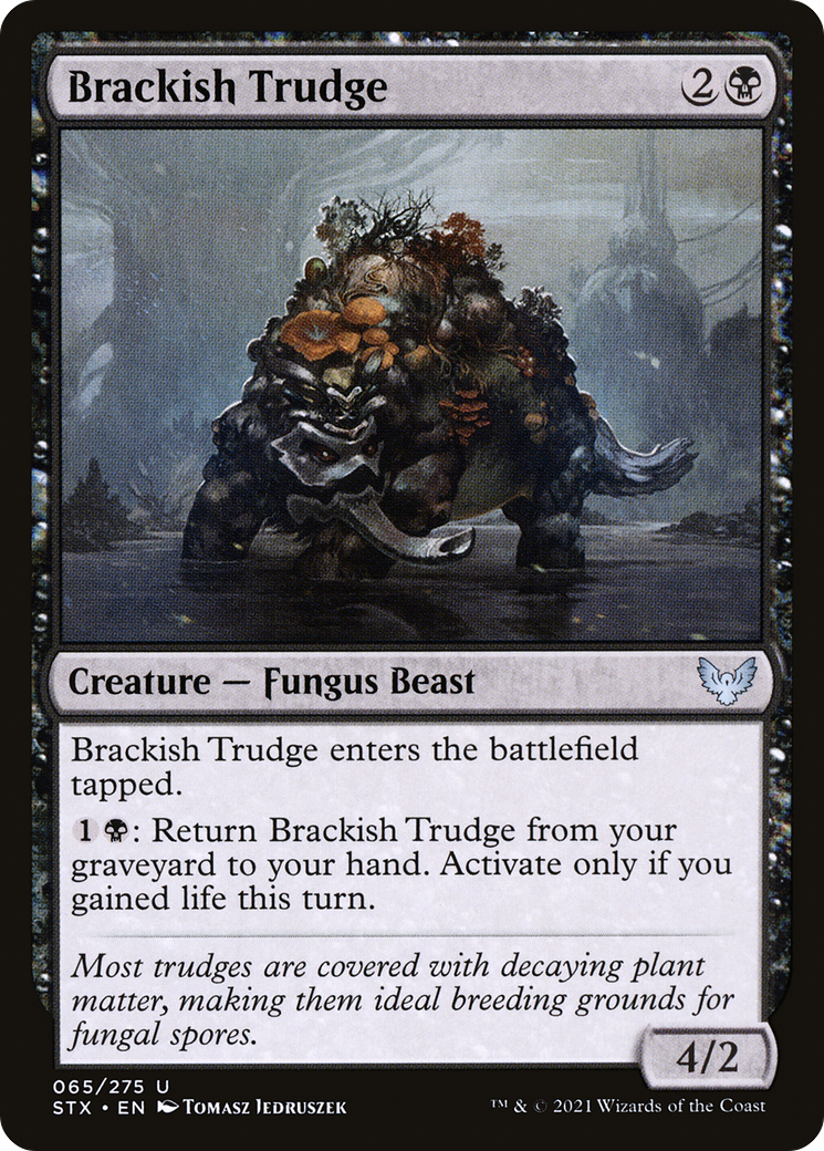 Brackish Trudge (065) Foil - Strixhaven: School of Mages