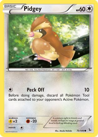 Pidgey (75) Reverse Holofoil - XY Flashfire