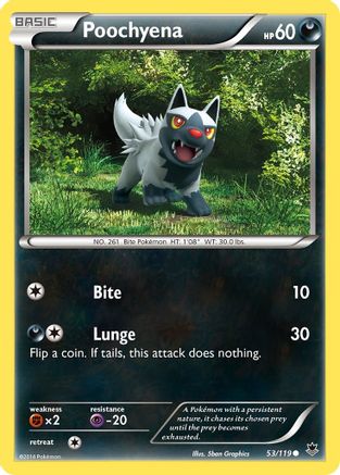 Poochyena (53) Reverse Holofoil - XY Phantom Forces