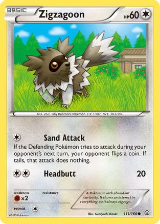 Zigzagoon (111) - XY Primal Clash