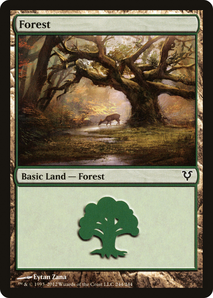 Forest (244) - Avacyn Restored
