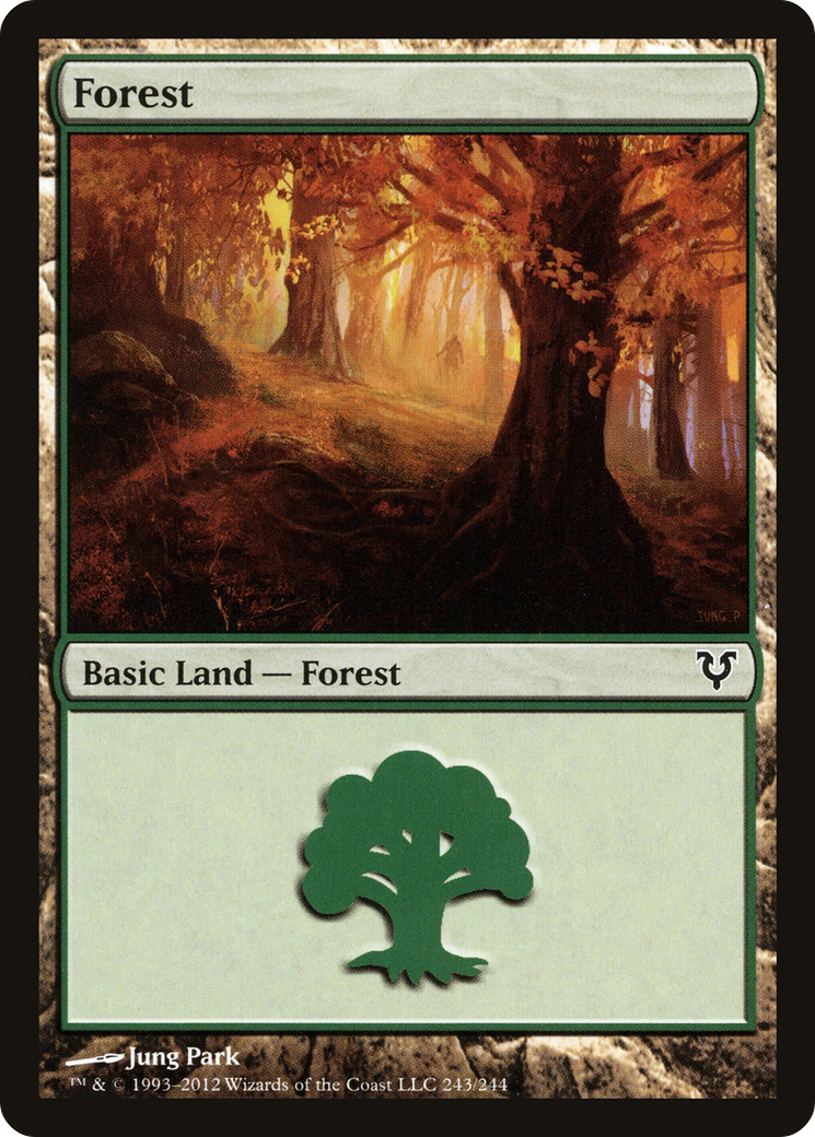 Forest (243) - Avacyn Restored