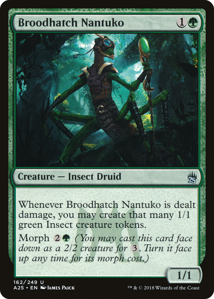 Broodhatch Nantuko (162) - Masters 25