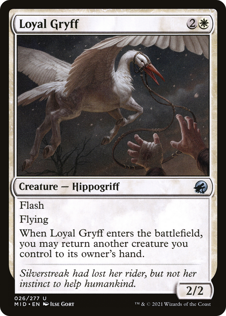 Loyal Gryff (026) - Innistrad: Midnight Hunt