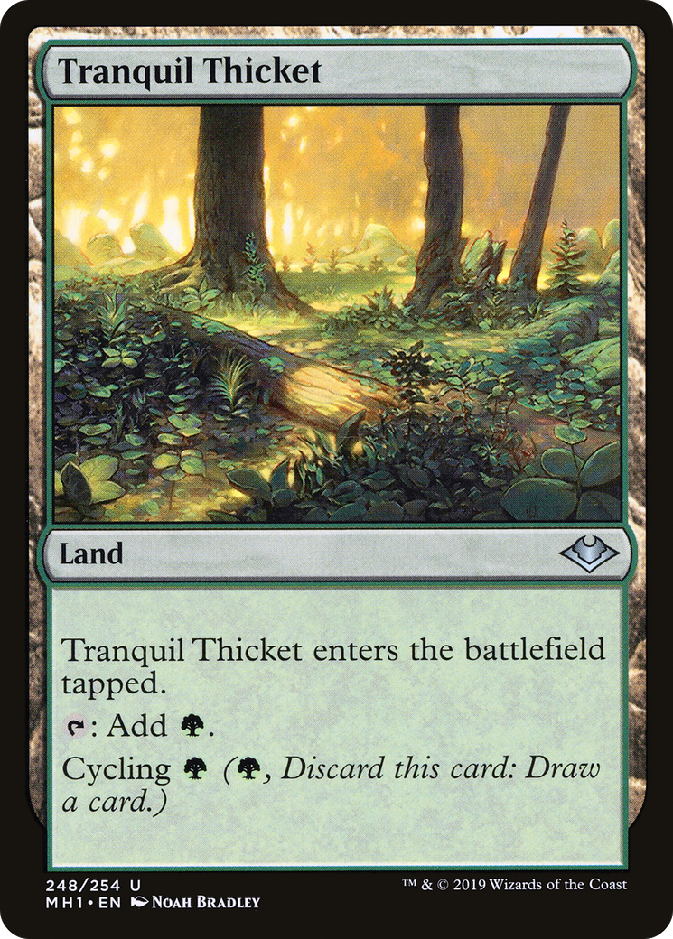 Tranquil Thicket (248) - Modern Horizons