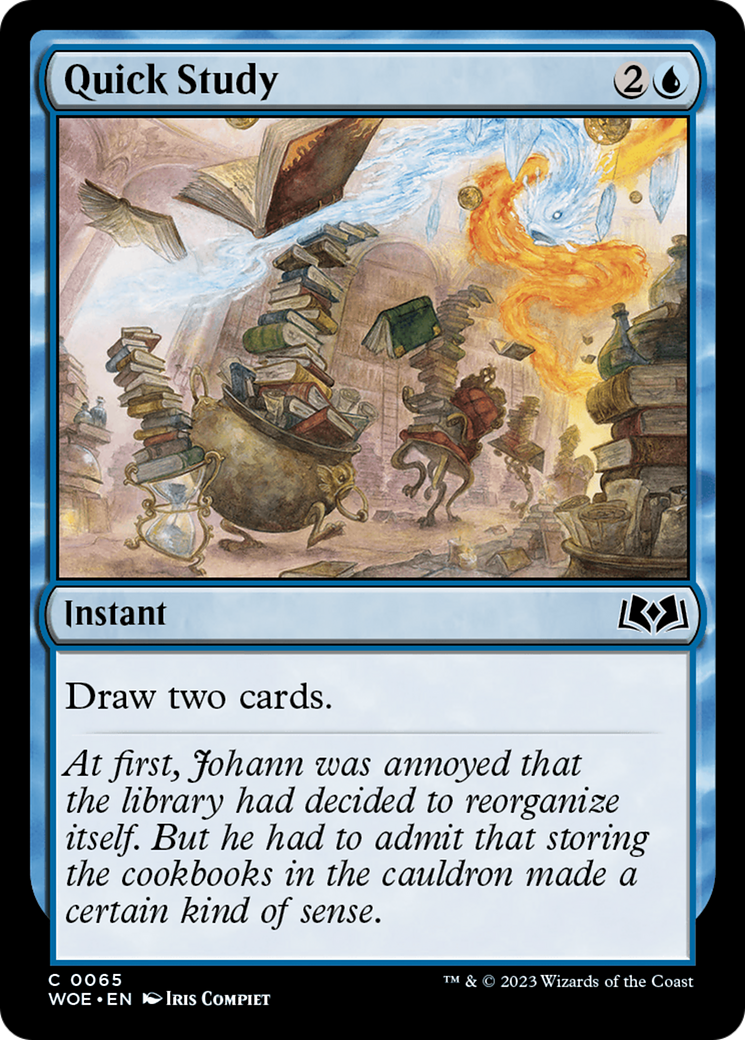 Quick Study (065) Foil - Wilds of Eldraine