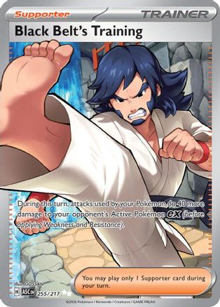 Black Belt's Training (Full Art) (255) Holofoil - Ascended Heroes