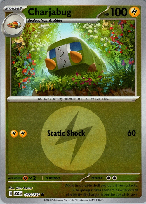 Charjabug (Energy Symbol Pattern) (65) Reverse Holofoil - Ascended Heroes