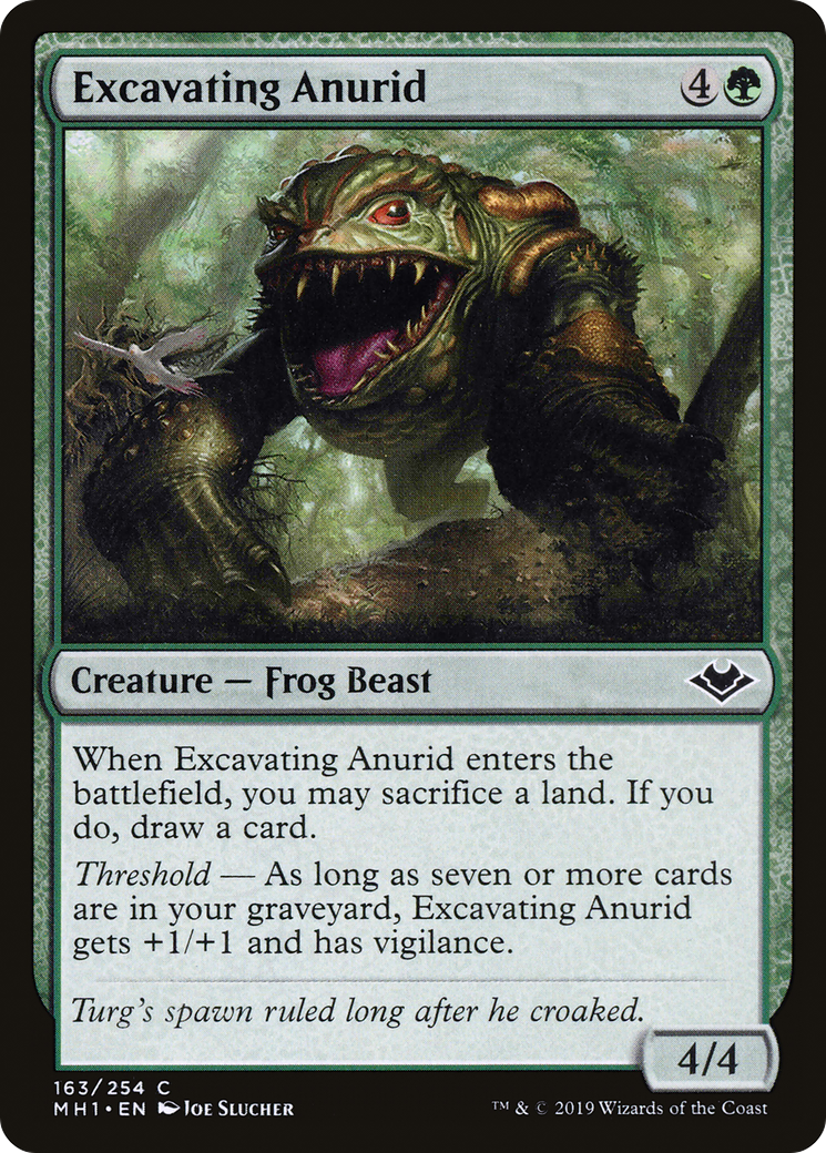 Excavating Anurid (163) Foil - Modern Horizons