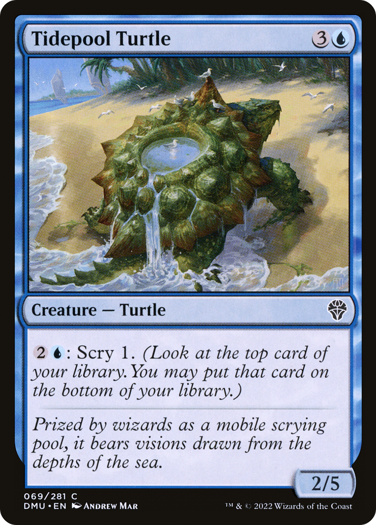 Tidepool Turtle (069) Foil - Dominaria United