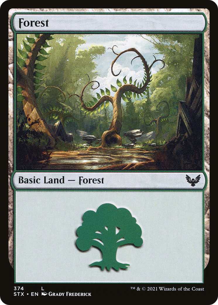 Forest (374) Foil - Strixhaven: School of Mages