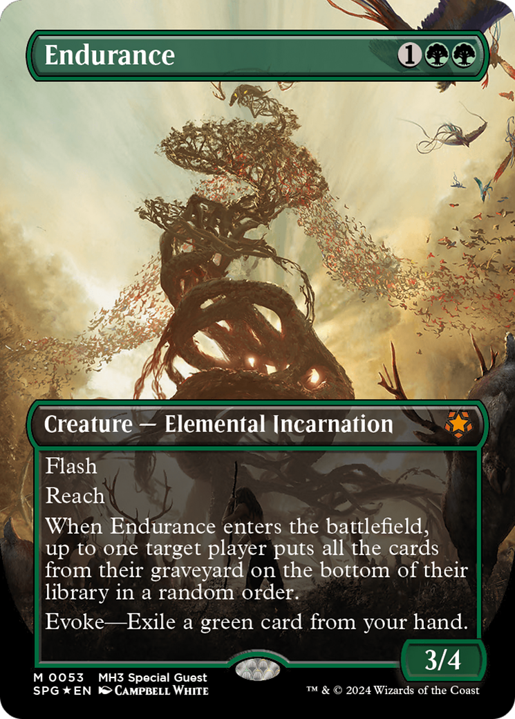 Endurance(Borderless) Foil (053)