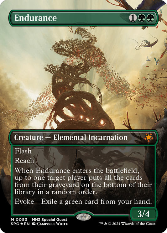 Endurance(Borderless) Foil (053)