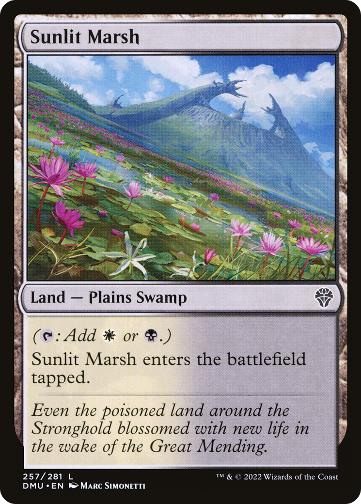 Sunlit Marsh (257) Foil - Dominaria United