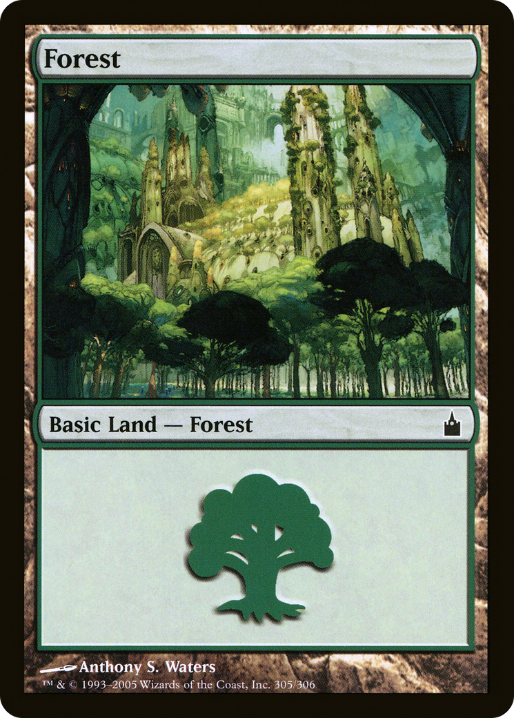 Forest (305) Foil - Ravnica: City of Guilds