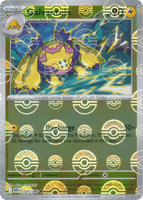Galvantula (Poke Ball Pattern) (34) Reverse Holofoil - White Flare