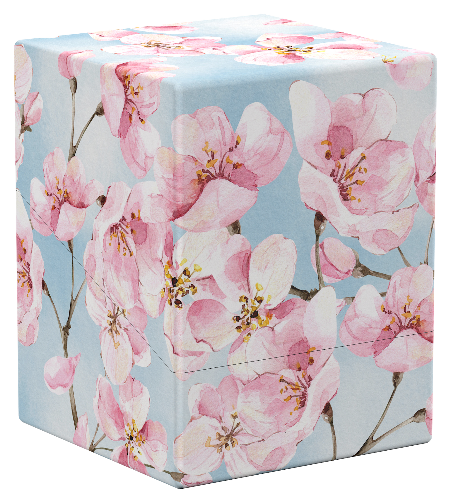 Boulder 100+ Floral Places - Cherry Blossom