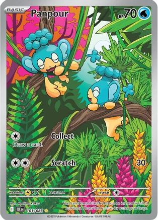 Panpour (101) Holofoil - Black Bolt