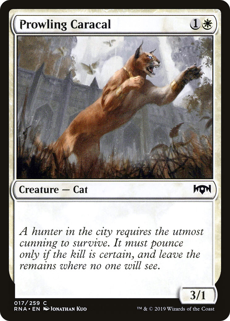Prowling Caracal (017) - Ravnica Allegiance Foil