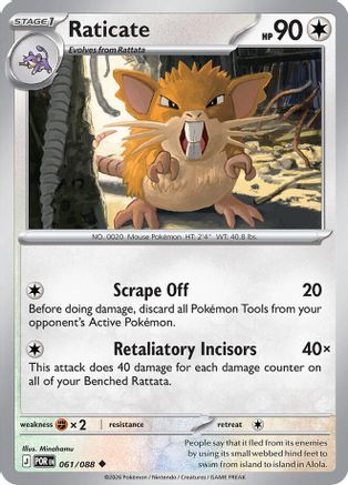 Raticate (61) - Perfect Order