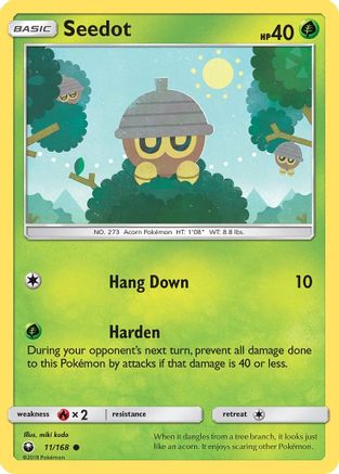Seedot (11) - Celestial Storm