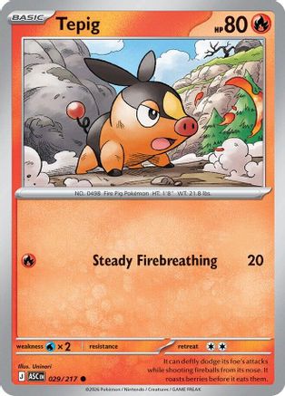 Tepig (29) - Ascended Heroes