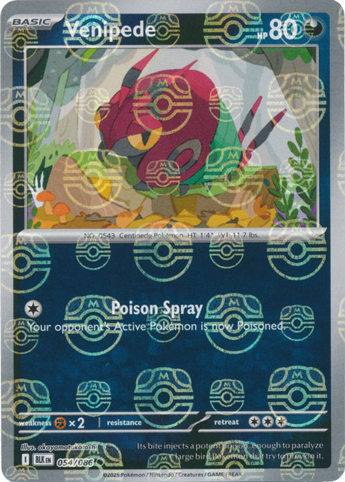 Venipede (Master Ball Pattern) (54) Reverse Holofoil - Black Bolt