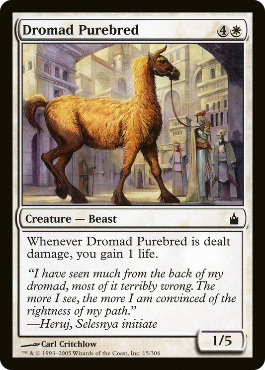 Dromad Purebred [Ravnica: City of Guilds] Foil