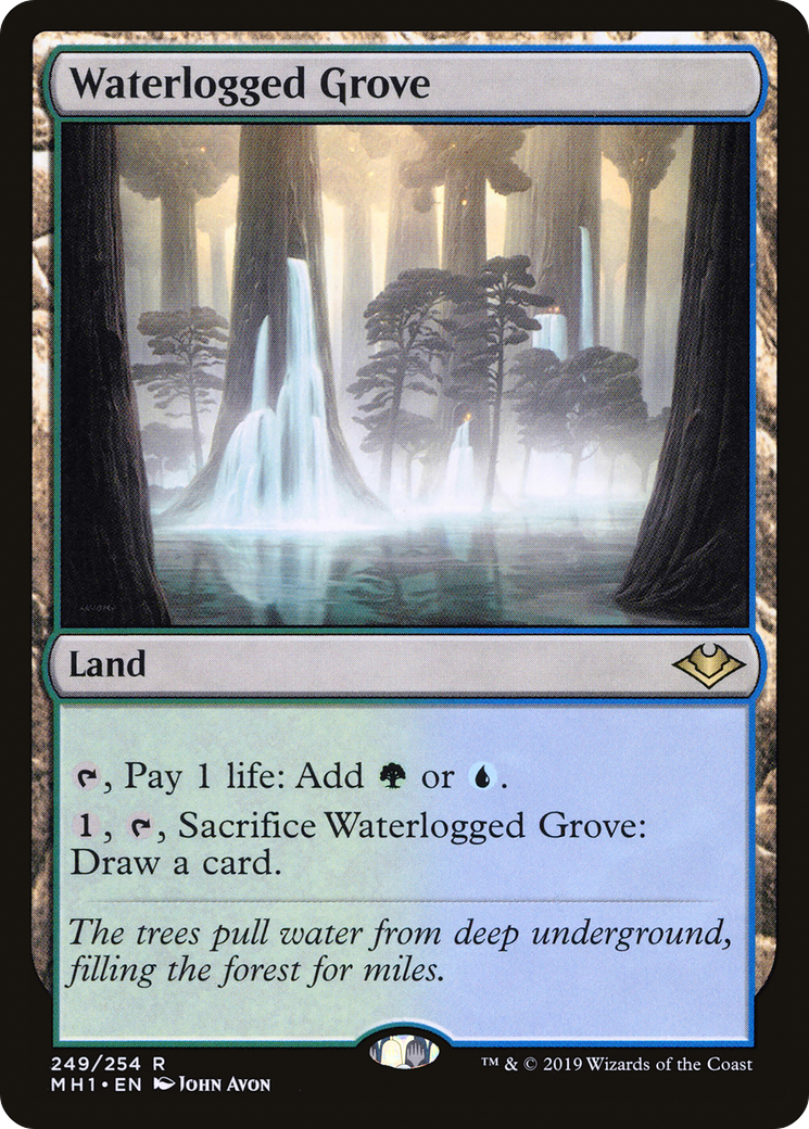Waterlogged Grove (249) Foil - Modern Horizons