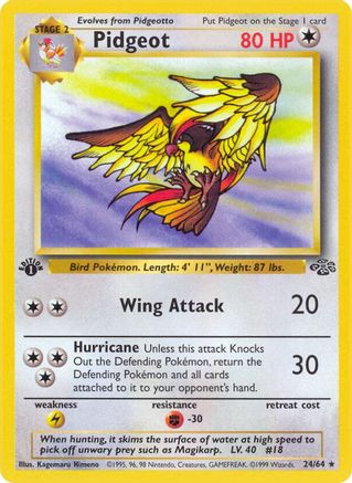 Pidgeot (24) (1st Edition) - Jungle