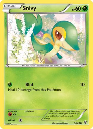 Snivy (5) Reverse Holofoil - XY  Fates Collide