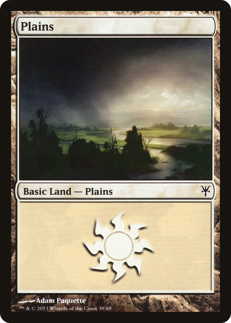 Plains (38) [Duel Decks: Sorin vs. Tibalt] | Silver Goblin