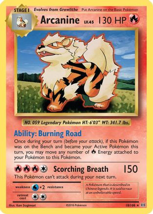 Arcanine (18) Reverse Holofoil - XY  Evolutions